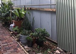 Narrabeen Garden Before