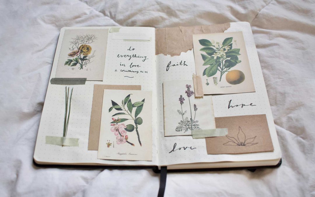Visual Diary