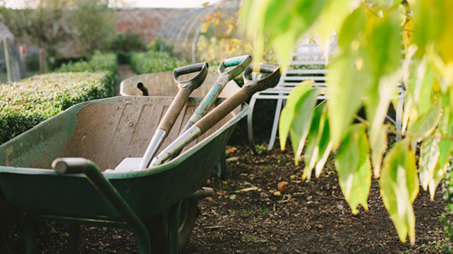 Blog-How-to-declutter-your-garden 5 Trouble Spots